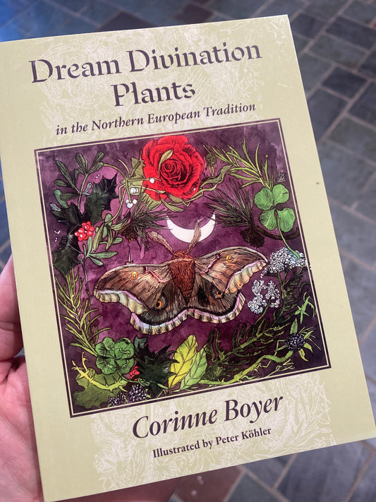 Dream Divination Plants