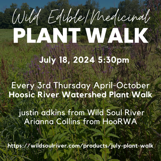 July Edible/Medicinal Plant Walk (7/18/24)