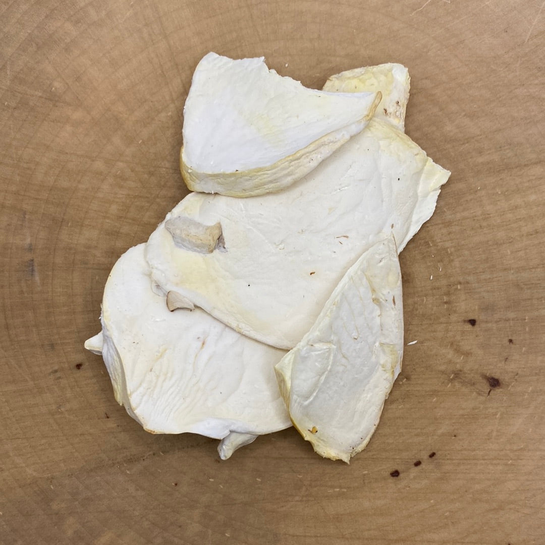 Oyster Mushrooms