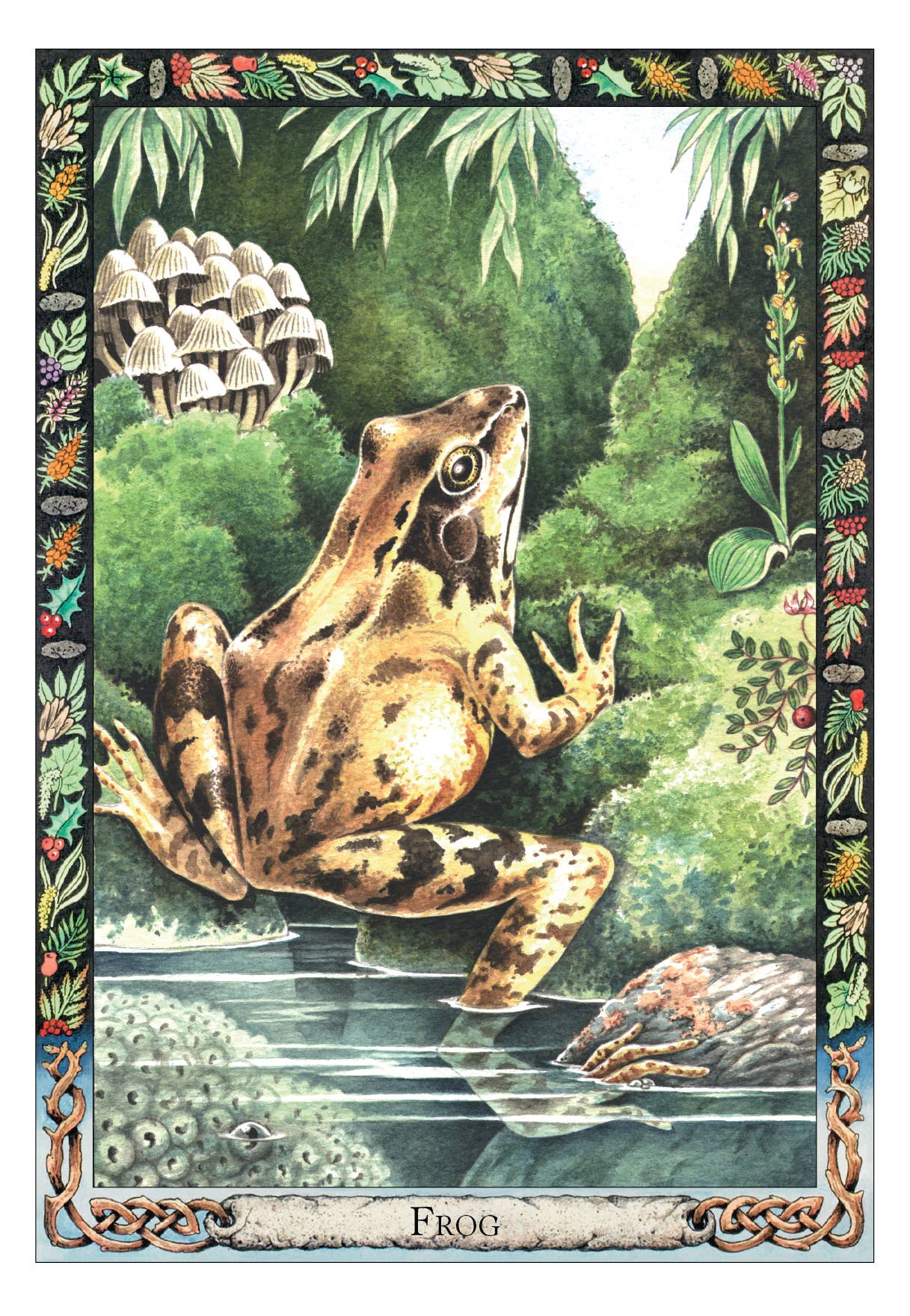 The Druid Animal Oracle Deck