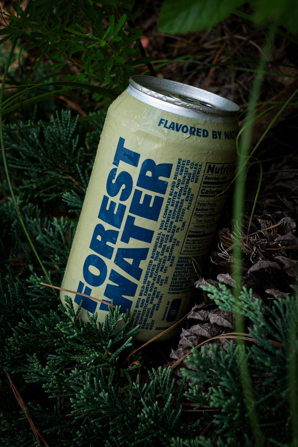 Alpine Forest Water | Non-Alcoholic Botanical Soda