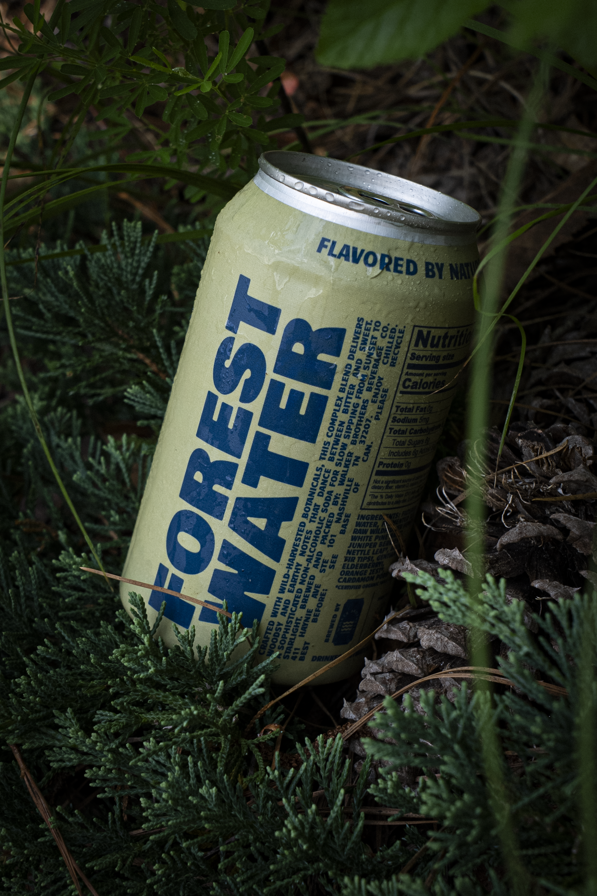 Alpine Forest Water | Non-Alcoholic Botanical Soda