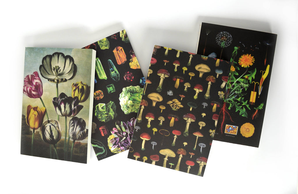 Vintage Black Mushroom Exposed Coptic Binding Notebook