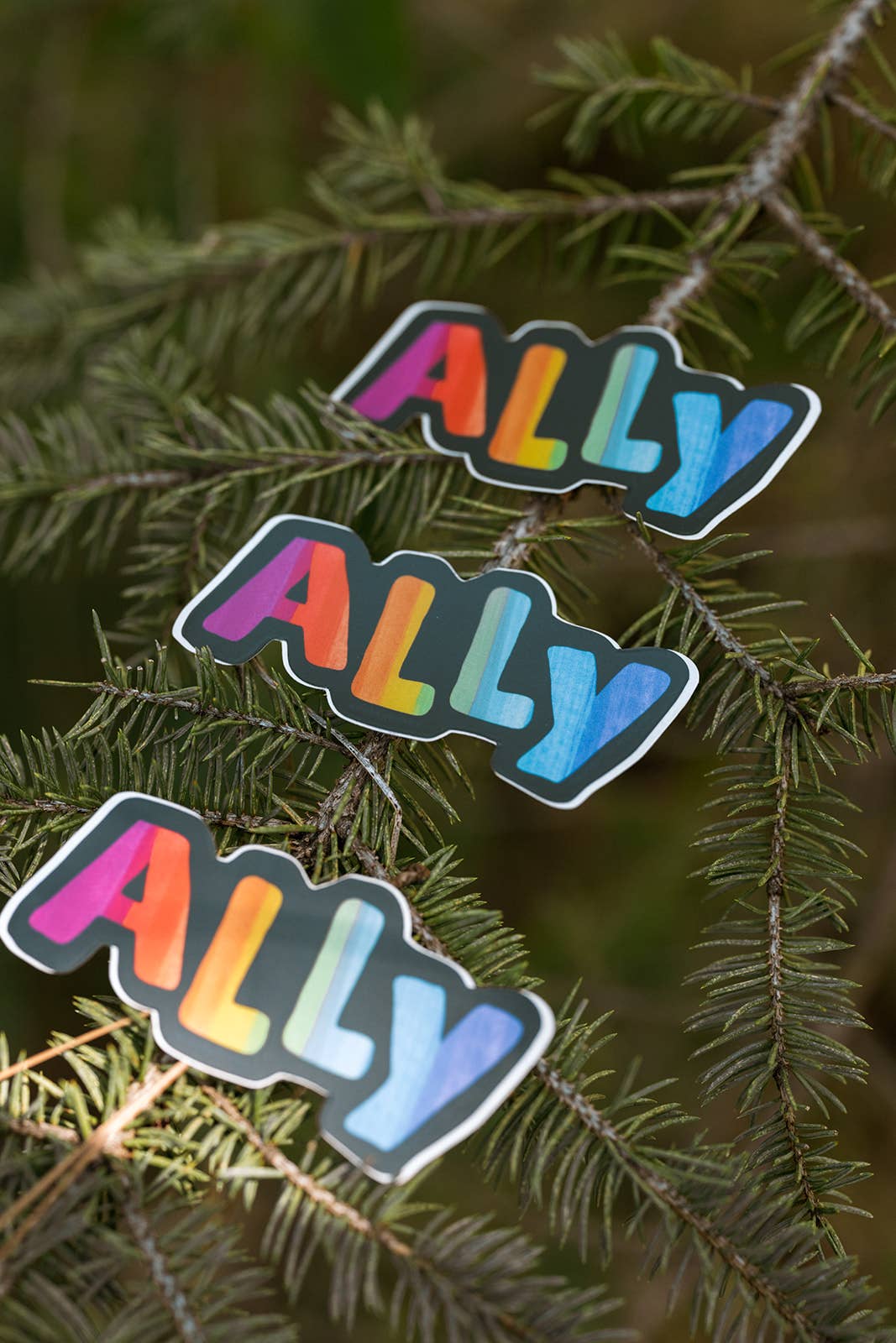 LGBTQ+ Ally Sticker