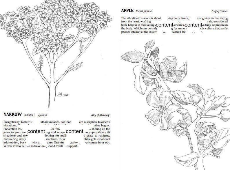 Plants Against the Patriarchy