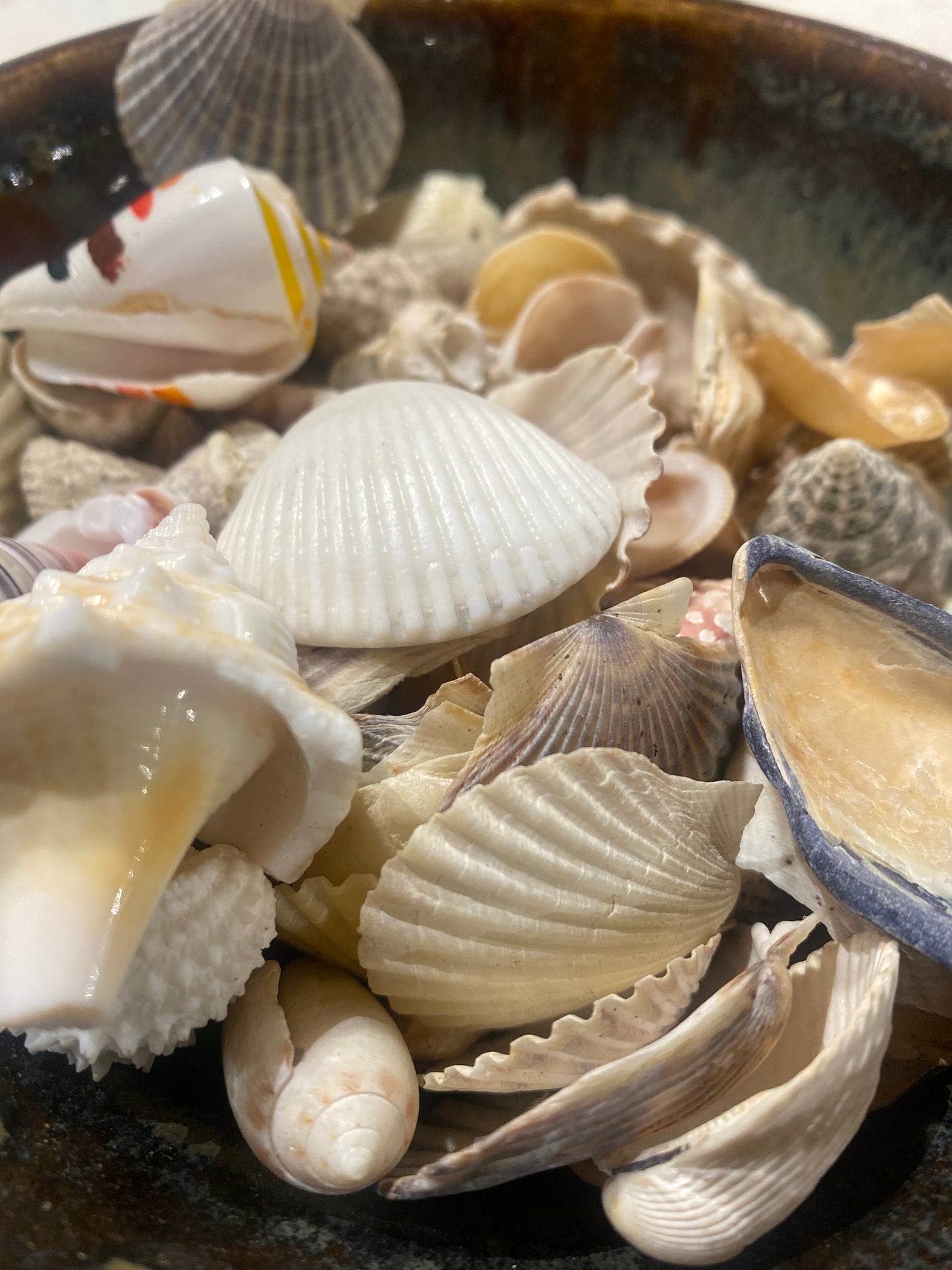 Shells