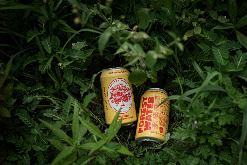Meadow Forest Water | Non-Alcoholic Botanical Soda