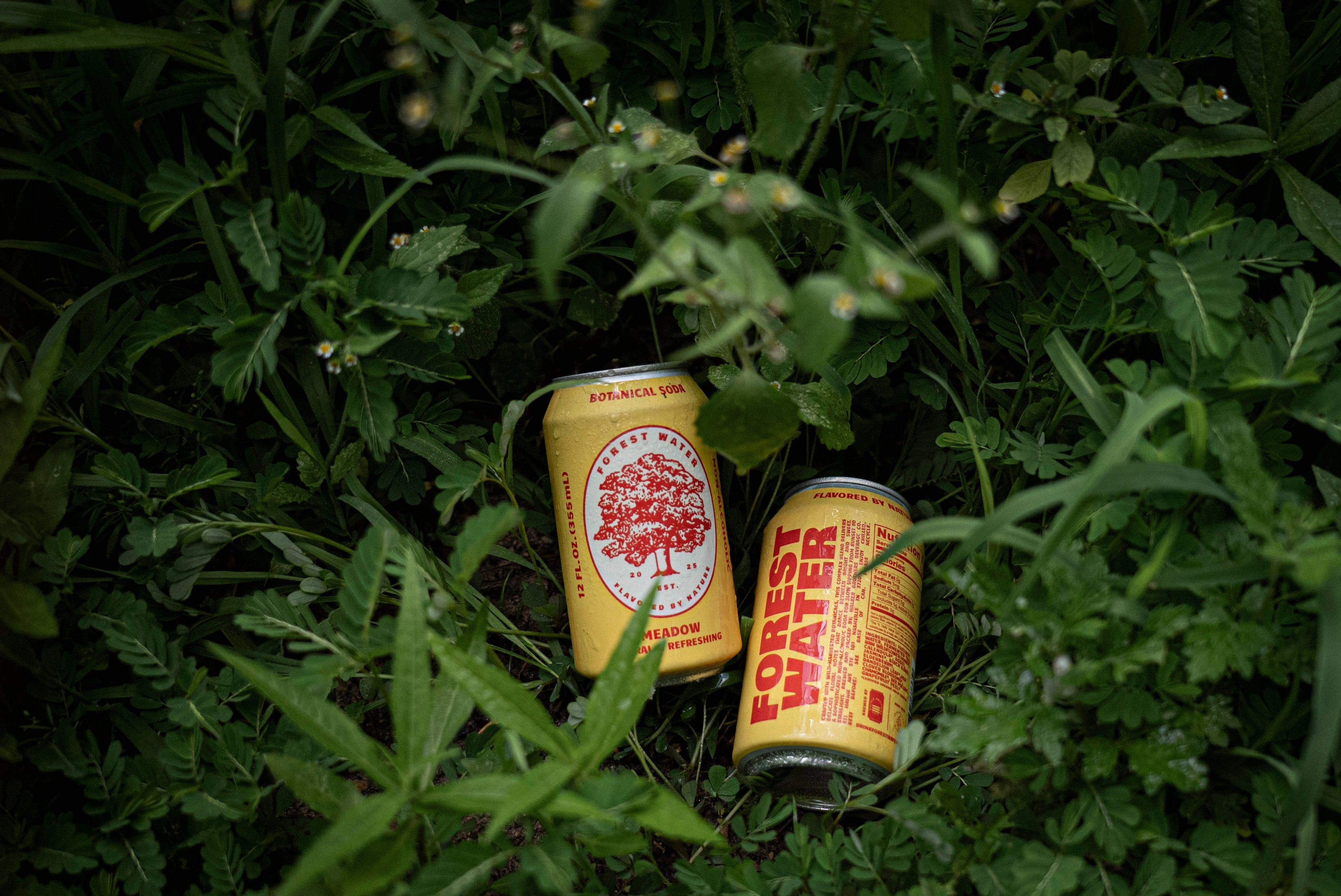 Meadow Forest Water | Non-Alcoholic Botanical Soda