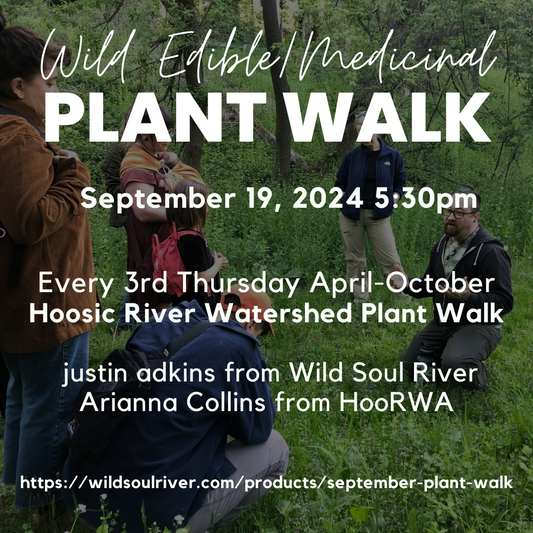 September Edible/Medicinal Plant Walk (9/19/24)