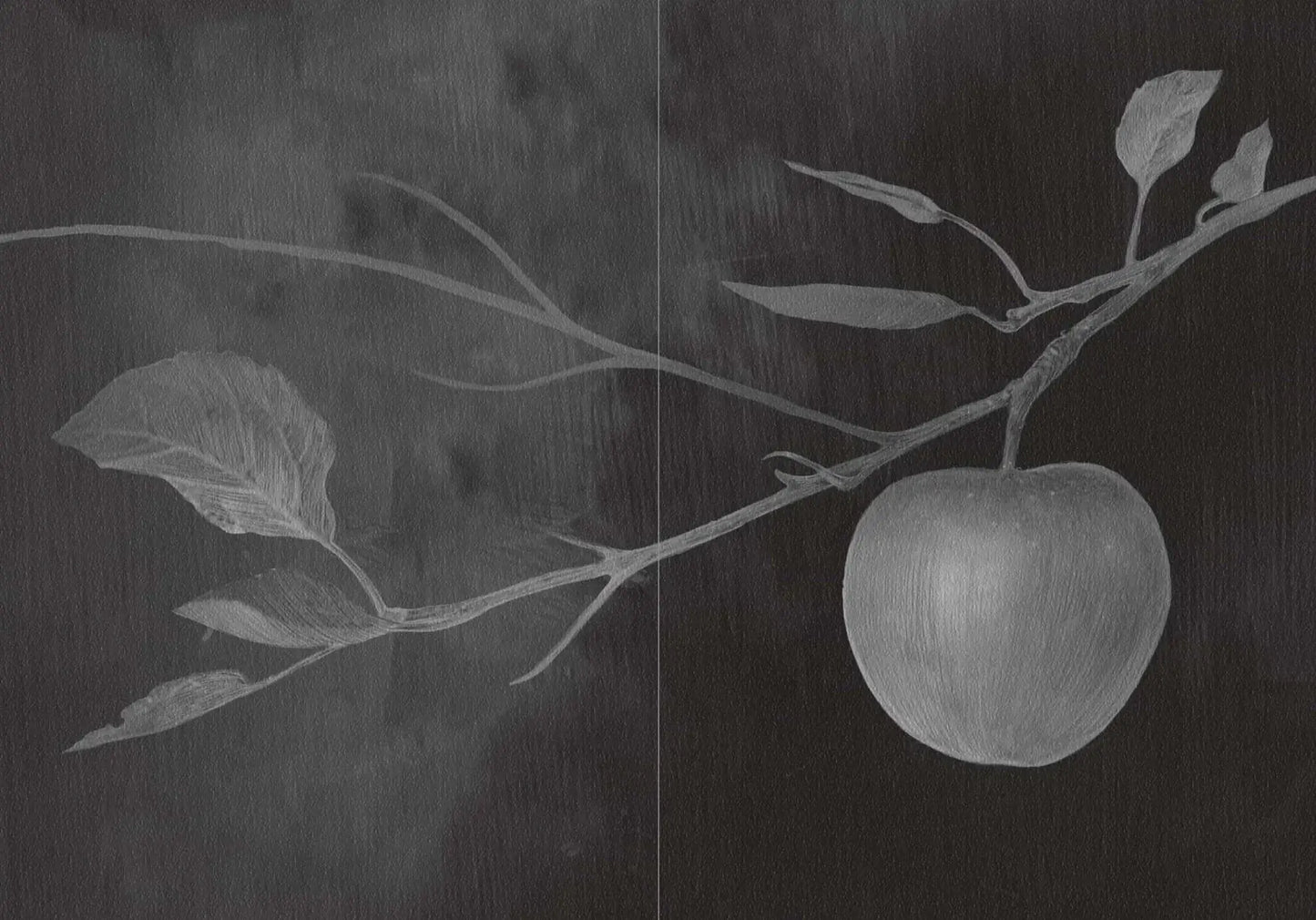 Fröja's Apples