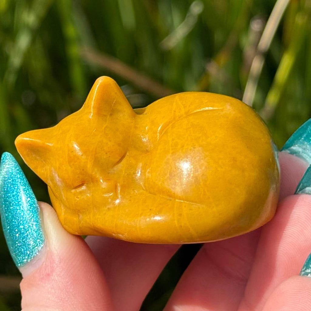 Yellow Jasper Sleepy Kitty