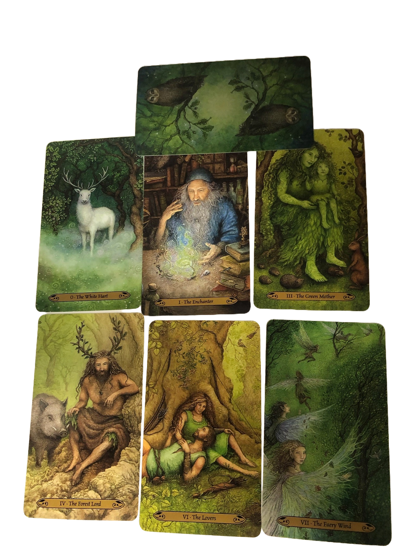 Forest Enchantment Tarot Cards