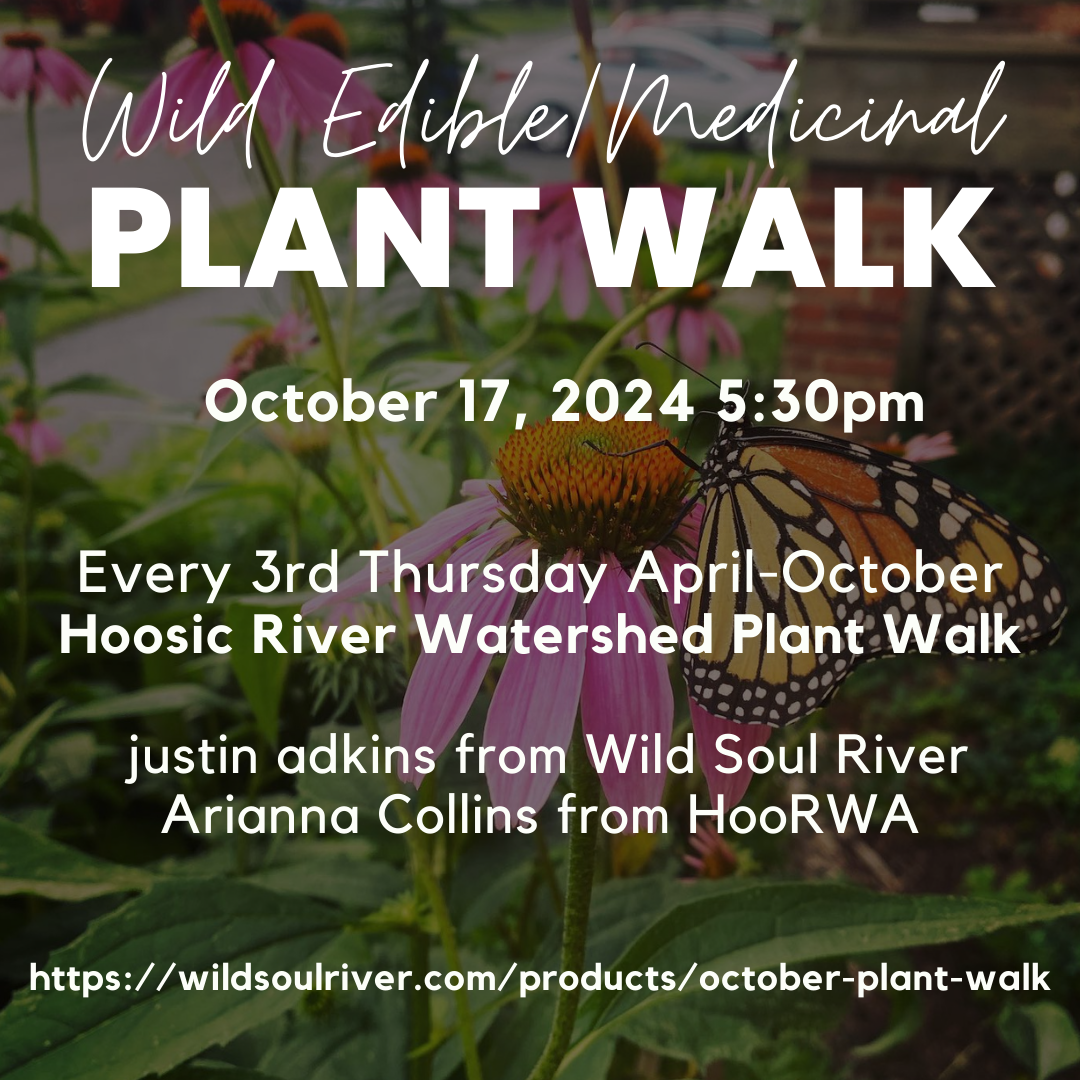 October Edible/Medicinal Plant Walk (10/17/24)