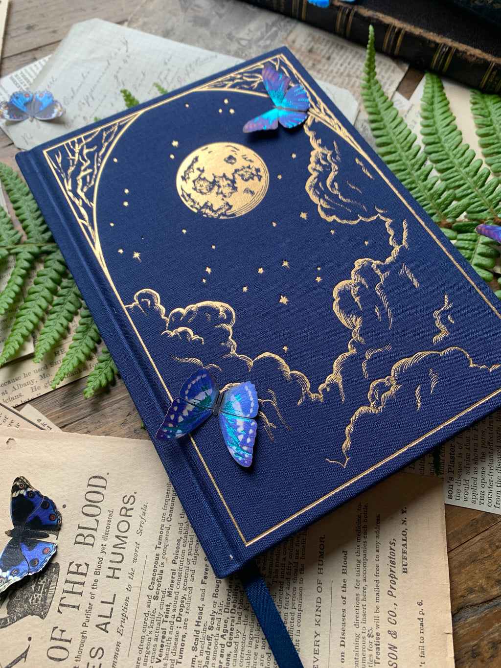 The Astronomer - Notebook