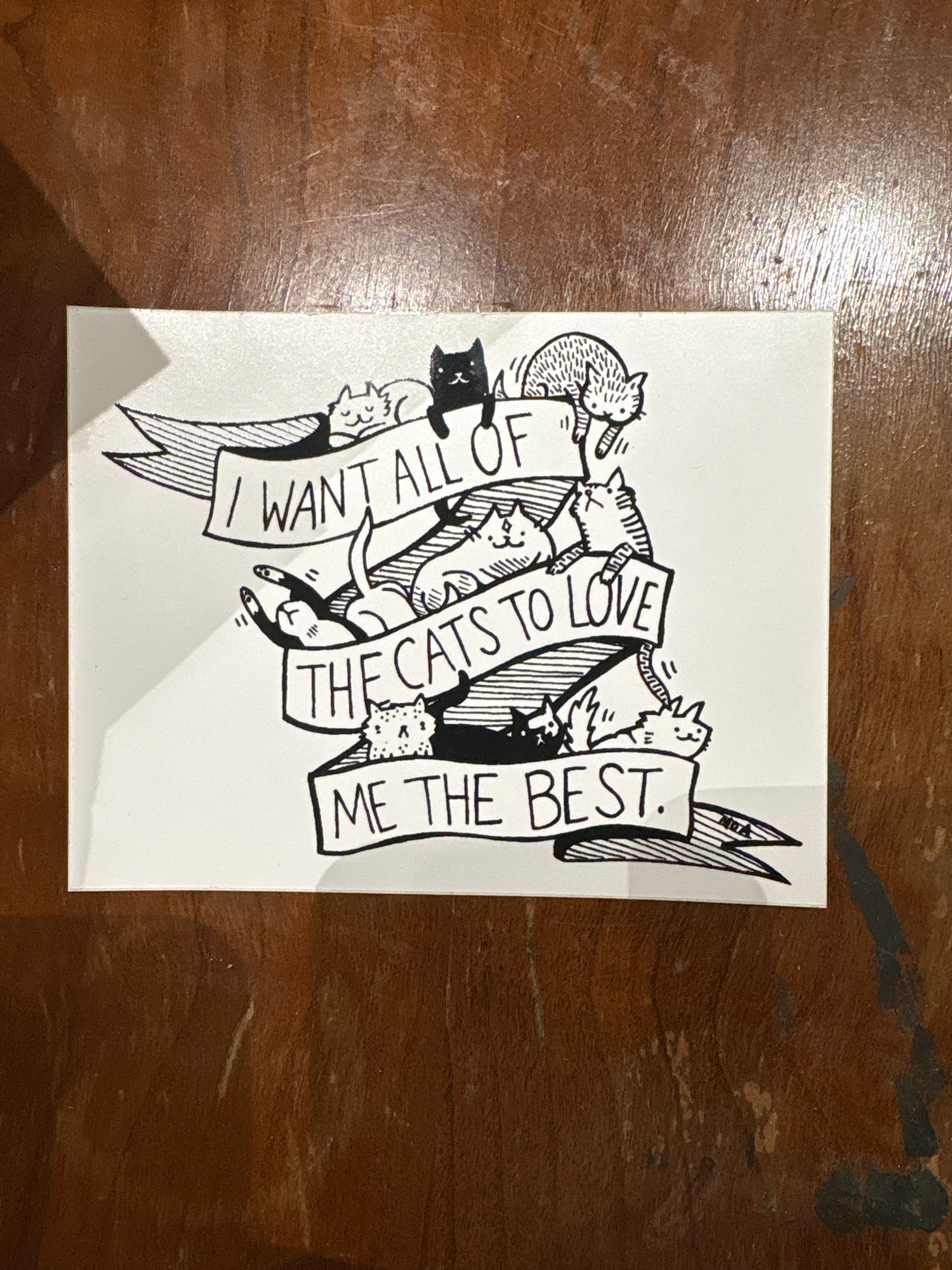 I Want all the Cats to Love Me the Best