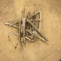 Apple Bark