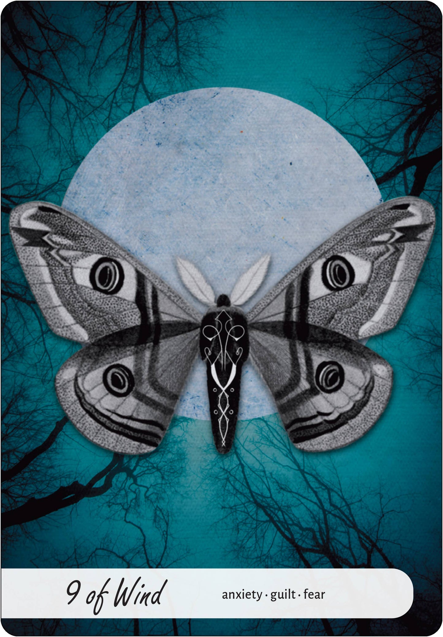 Wise Earth Medicine Tarot: 78 Cards & 96 Page Guidebook