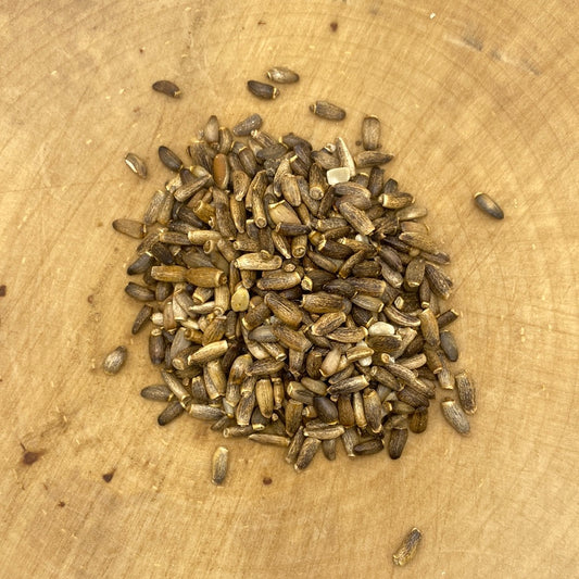 Milk Thistle Seed