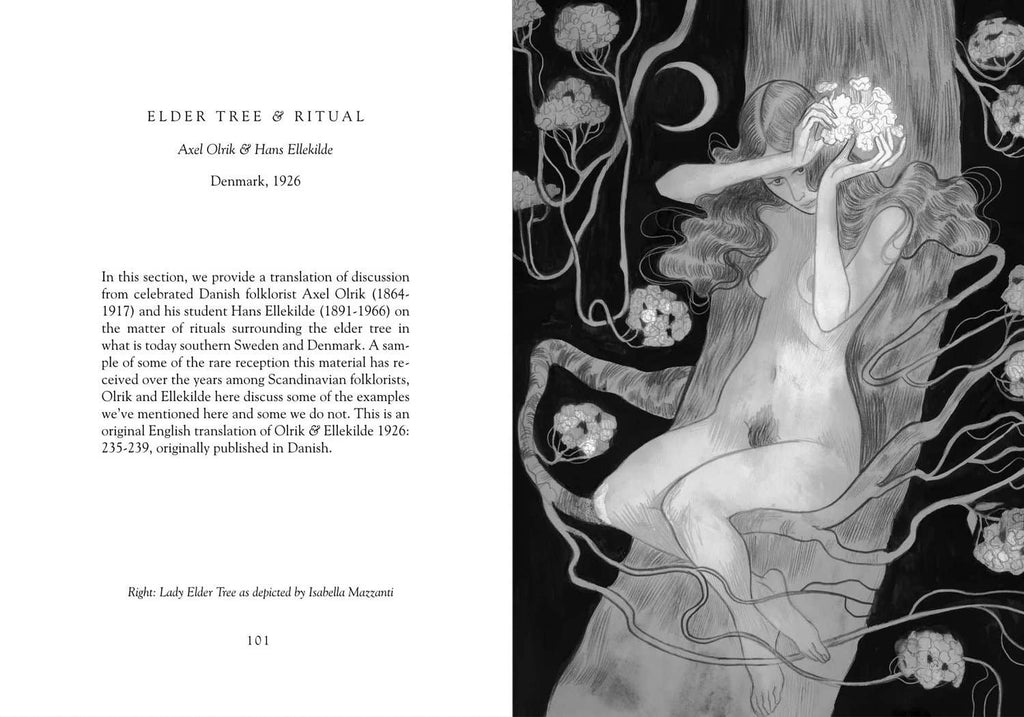 Lady Elder Tree: Northern Animism and Witchcraft