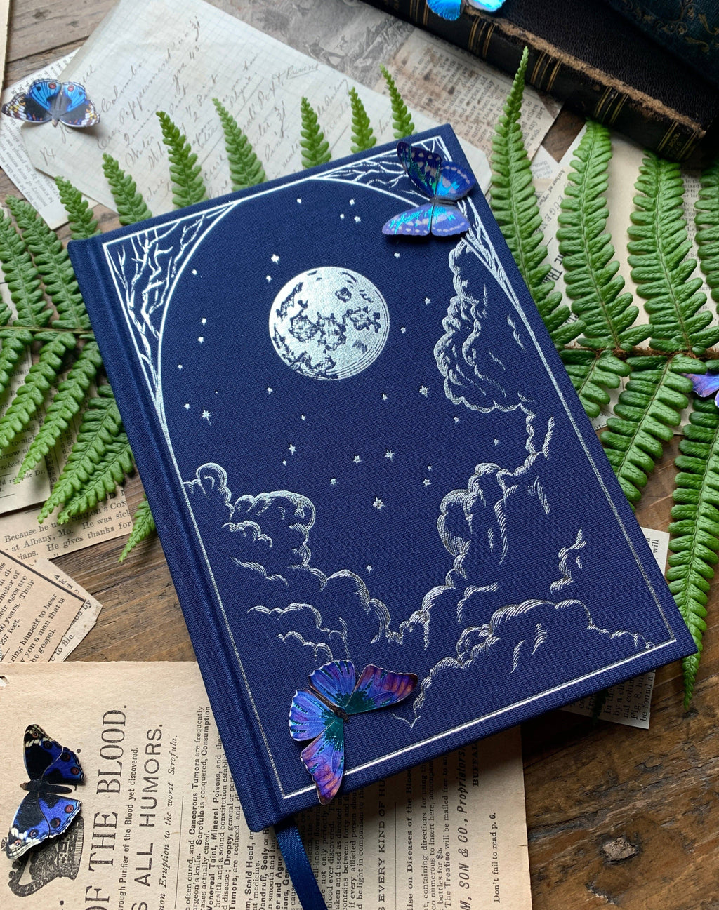 The Astronomer - Notebook