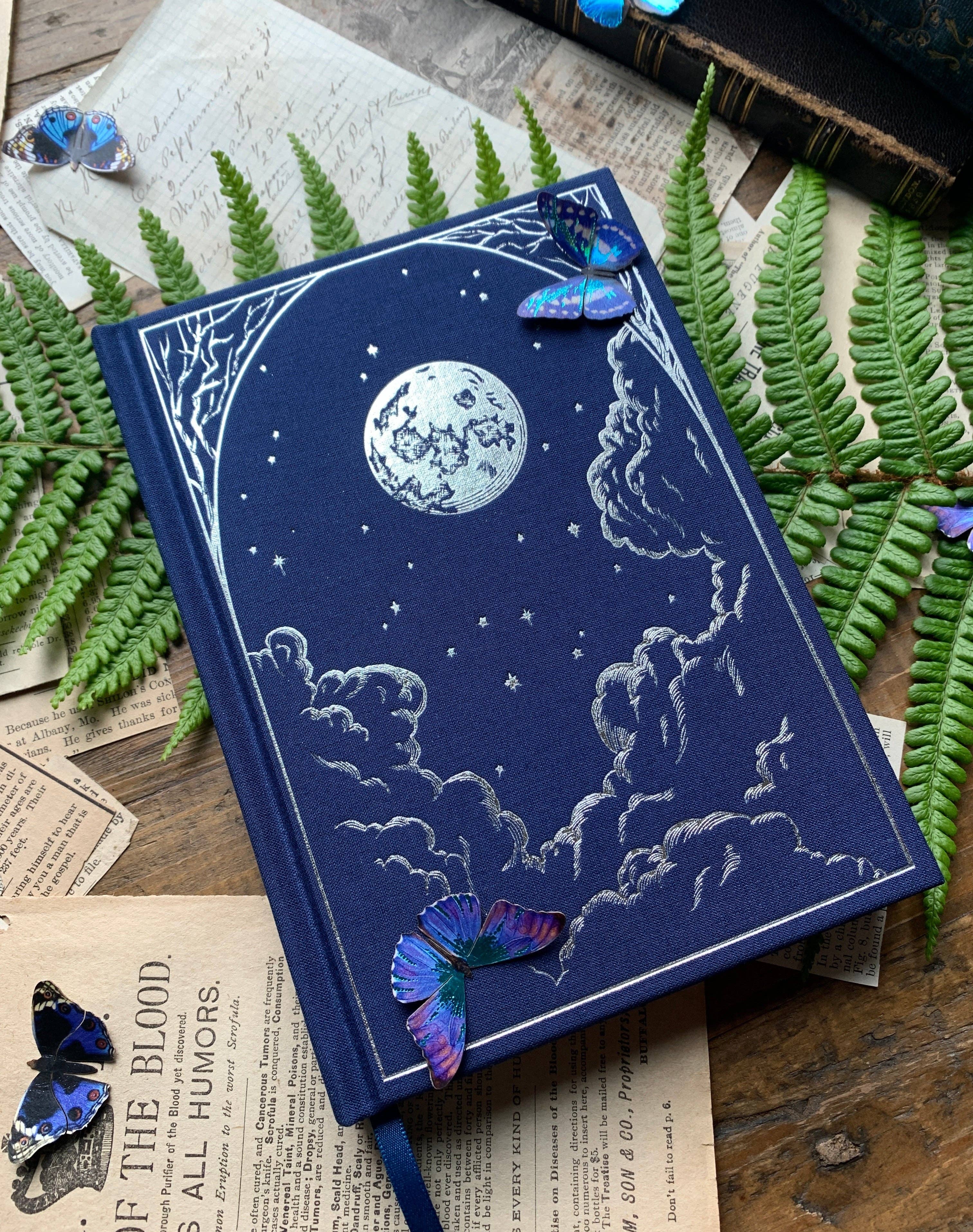 The Astronomer - Notebook