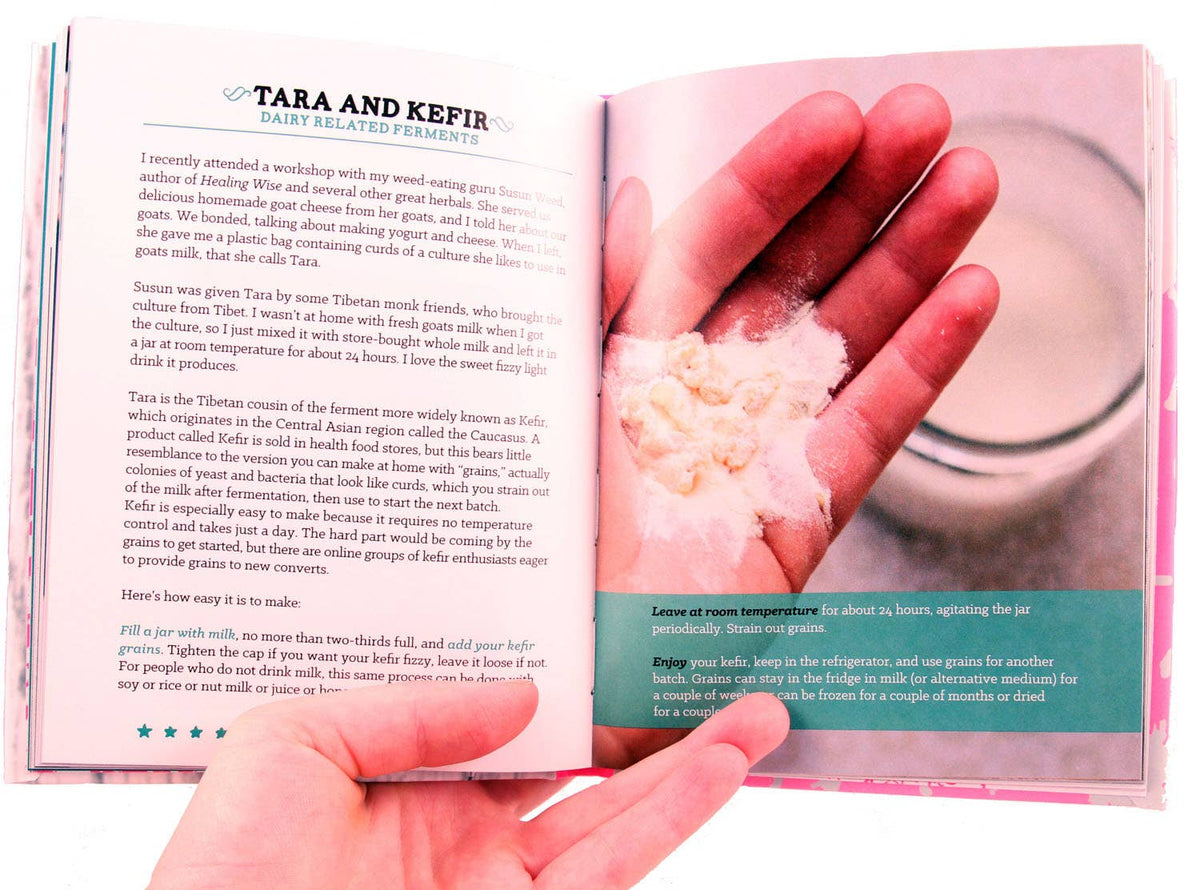 Basic Fermentation: A DIY Guide to Cultural Manipulation
