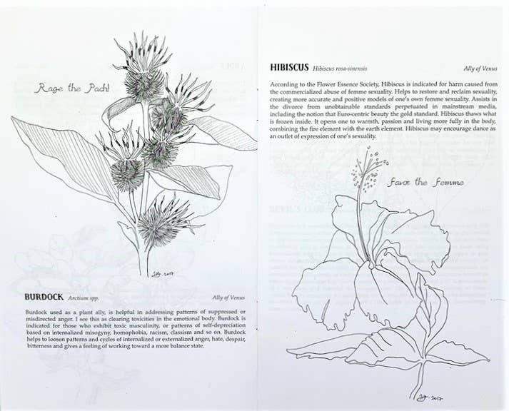 Plants Against the Patriarchy