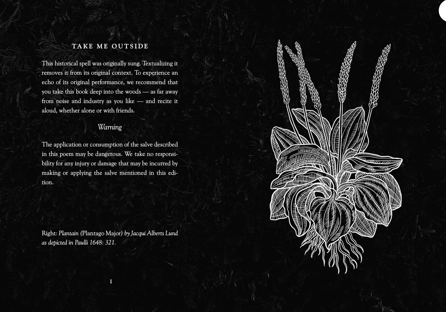 Nine Plants Spell "Nigon Wyrta Galdor"