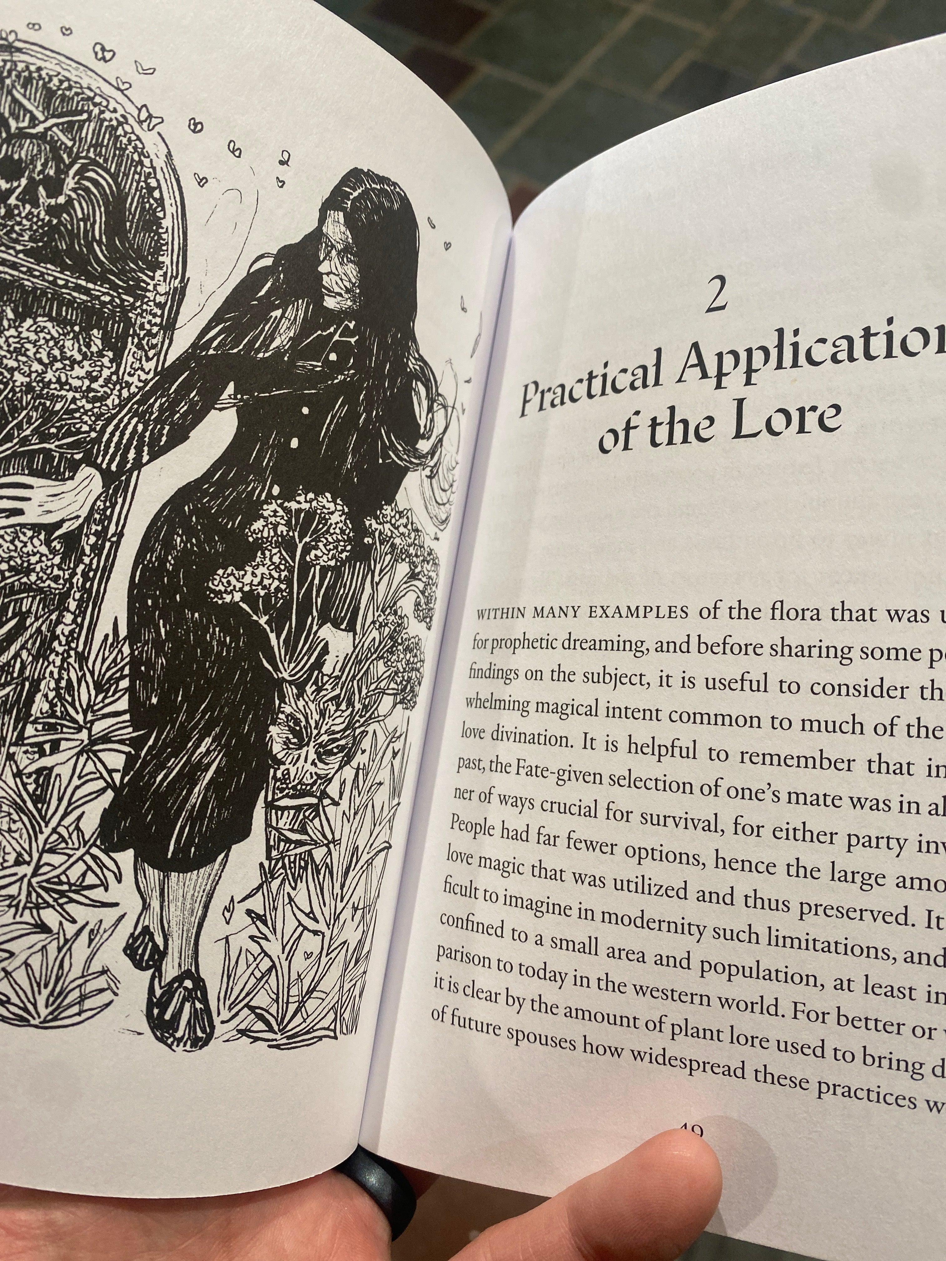 Dream Divination Plants