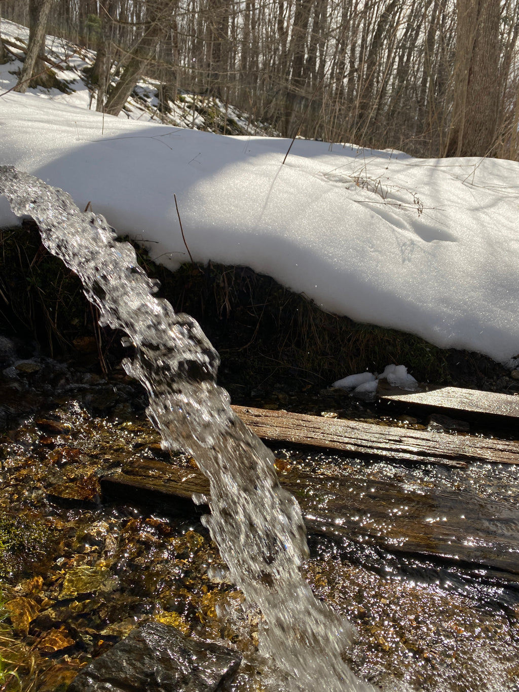 Herkimer Diamond Eclipse Moon Water