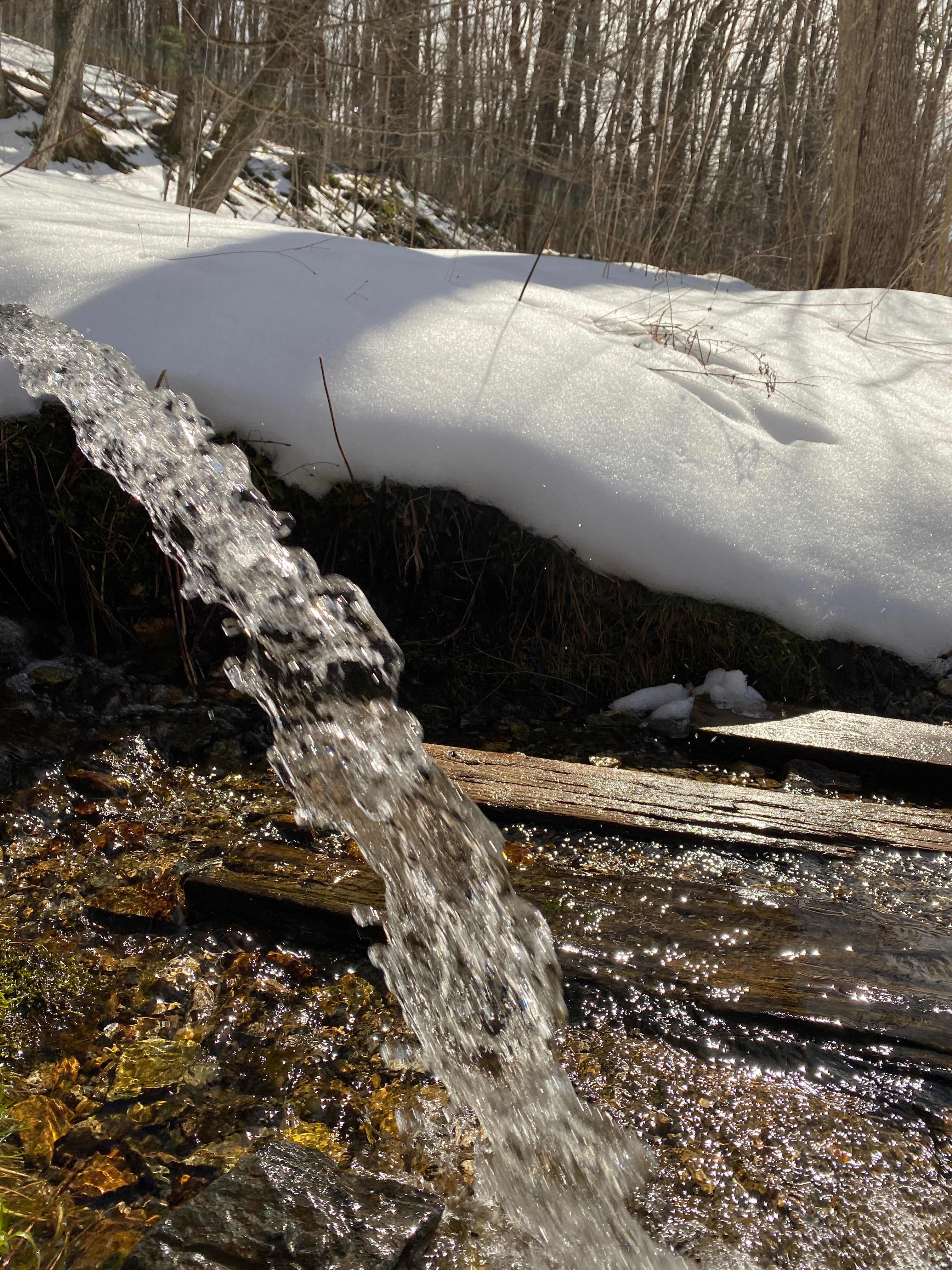 Herkimer Diamond Eclipse Moon Water