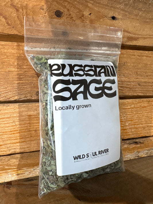 Russian Sage