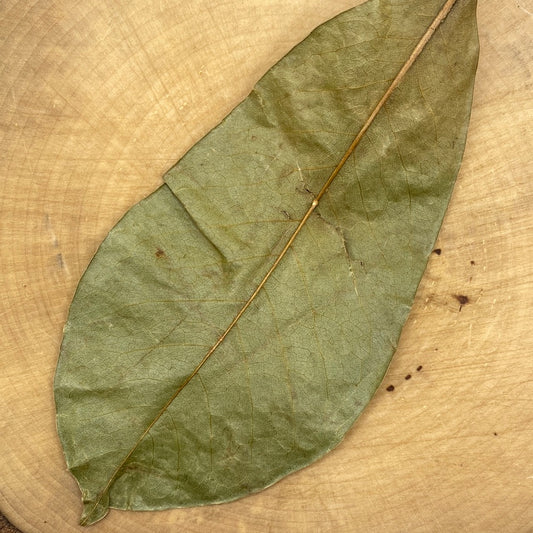 Soursop Leaves