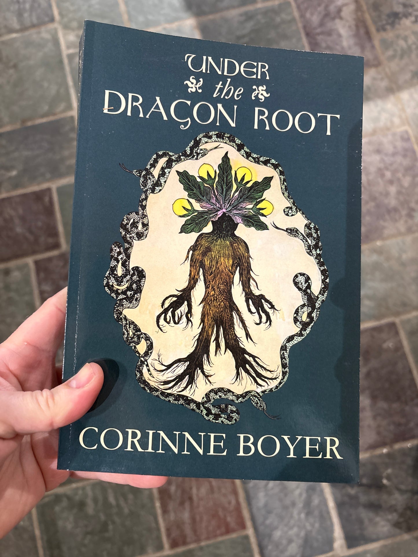Under the Dragons Root