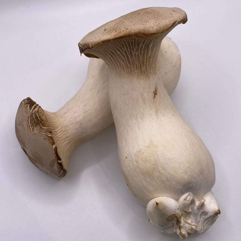 Fresh Mushrooms!!