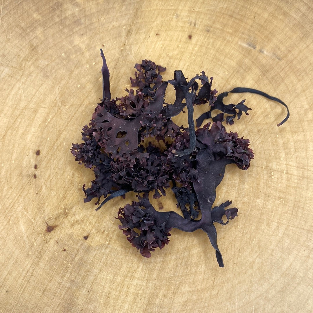 Rootworking Irish Sea Moss – Wild Soul River, LLC