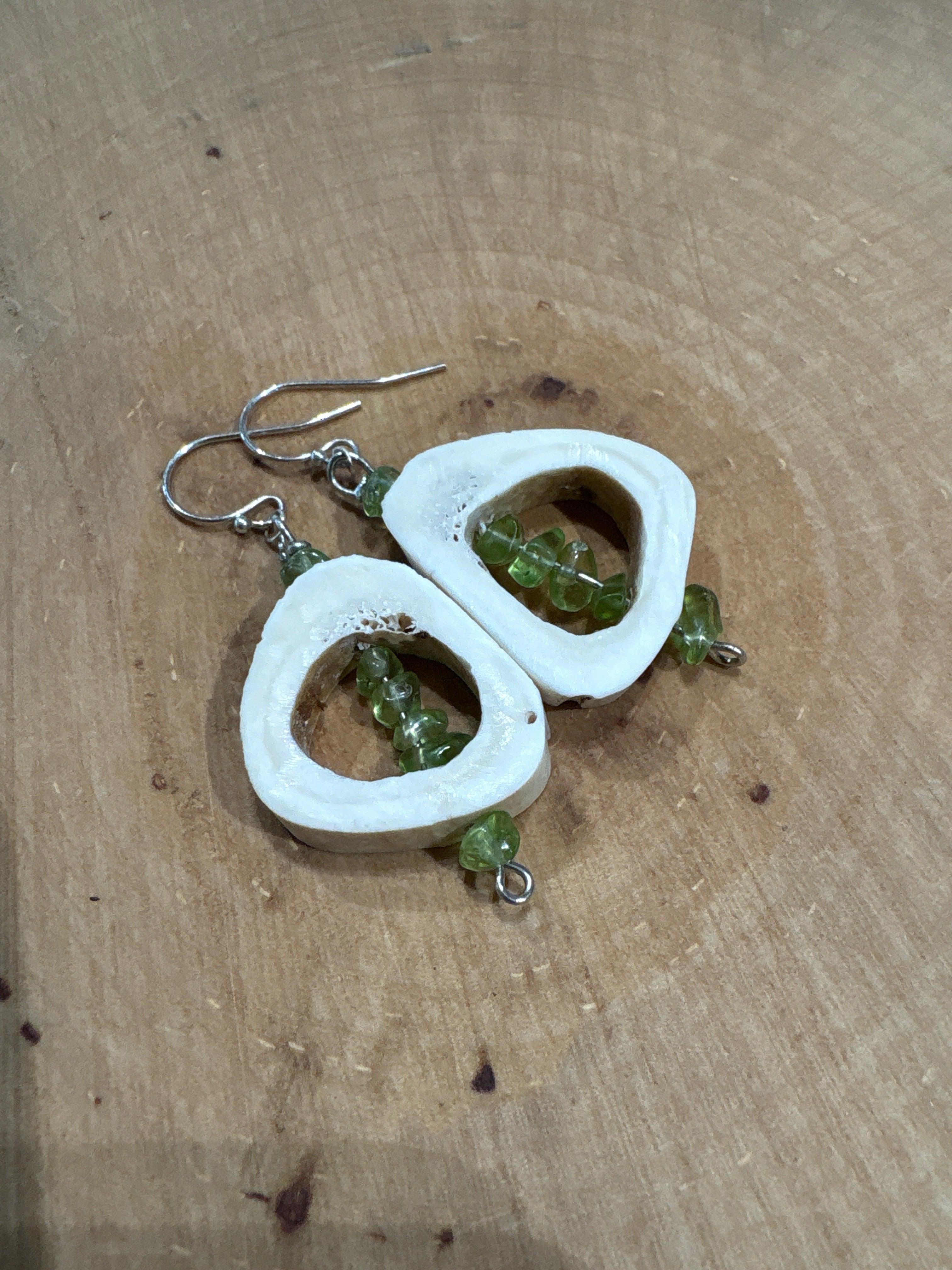 Bone and Stone Earrings