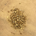Astragalus