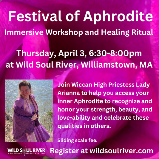 Festival of Aphrodite: Immersive Workshop and Healing Ritual