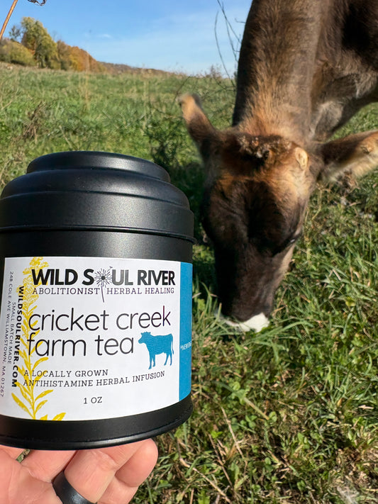 Cricket Creek Herbal Infusion