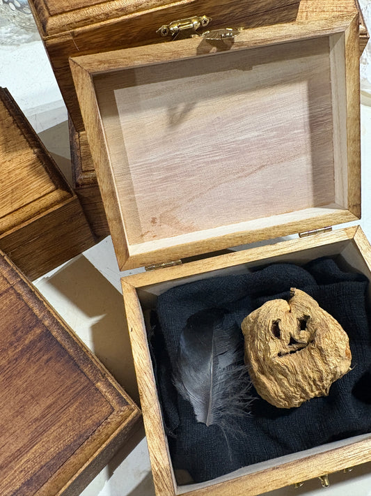 Carved Turnip Spiritus