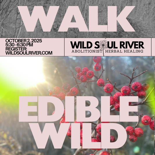 October Edible/Medicinal Plant Walk (10/2/25)