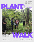 Plant Walk JUNE