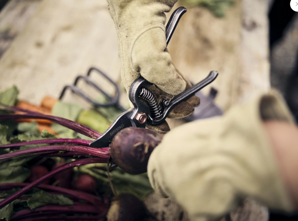 Pruner - Premium Gardening Tool