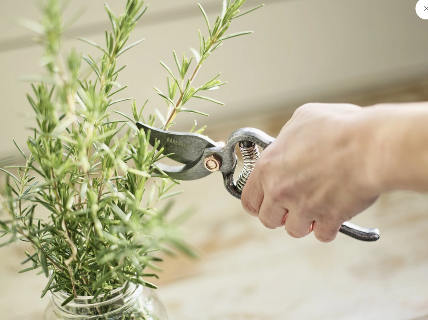 Pruner - Premium Gardening Tool