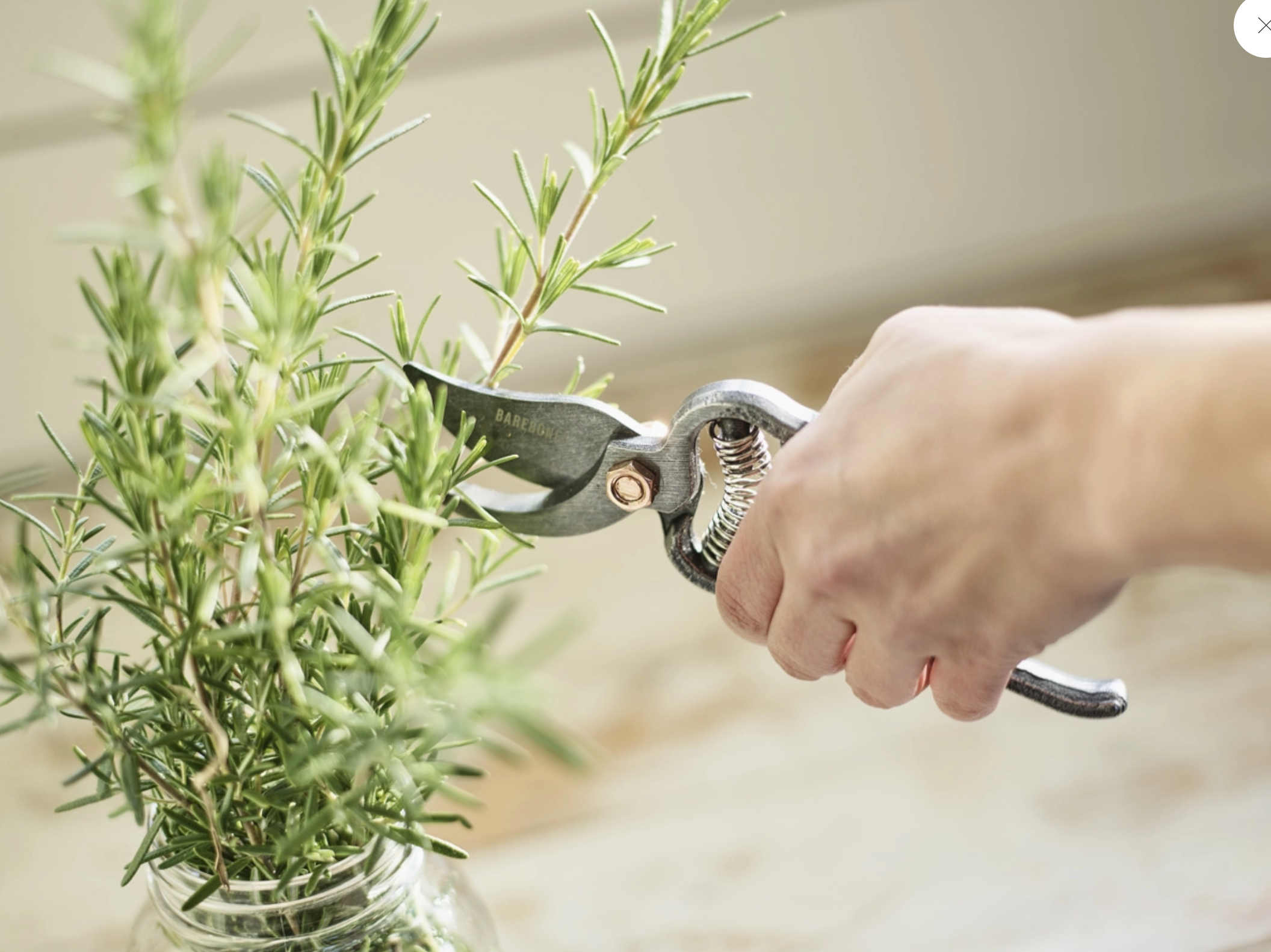 Pruner - Premium Gardening Tool