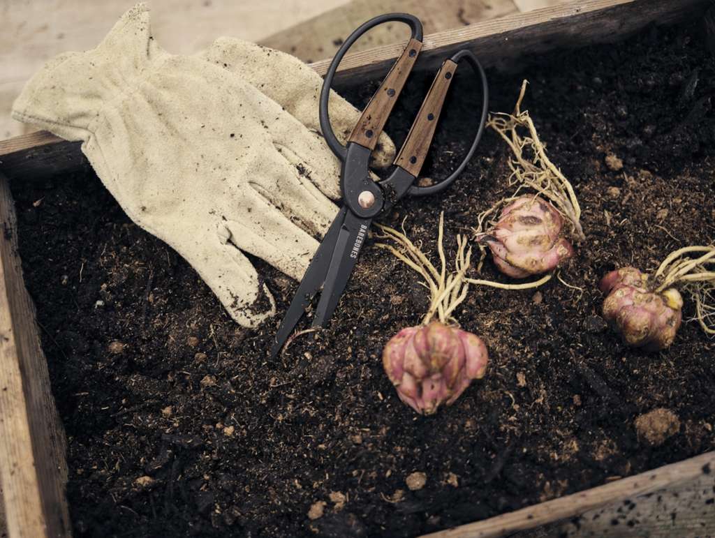 Garden Scissors