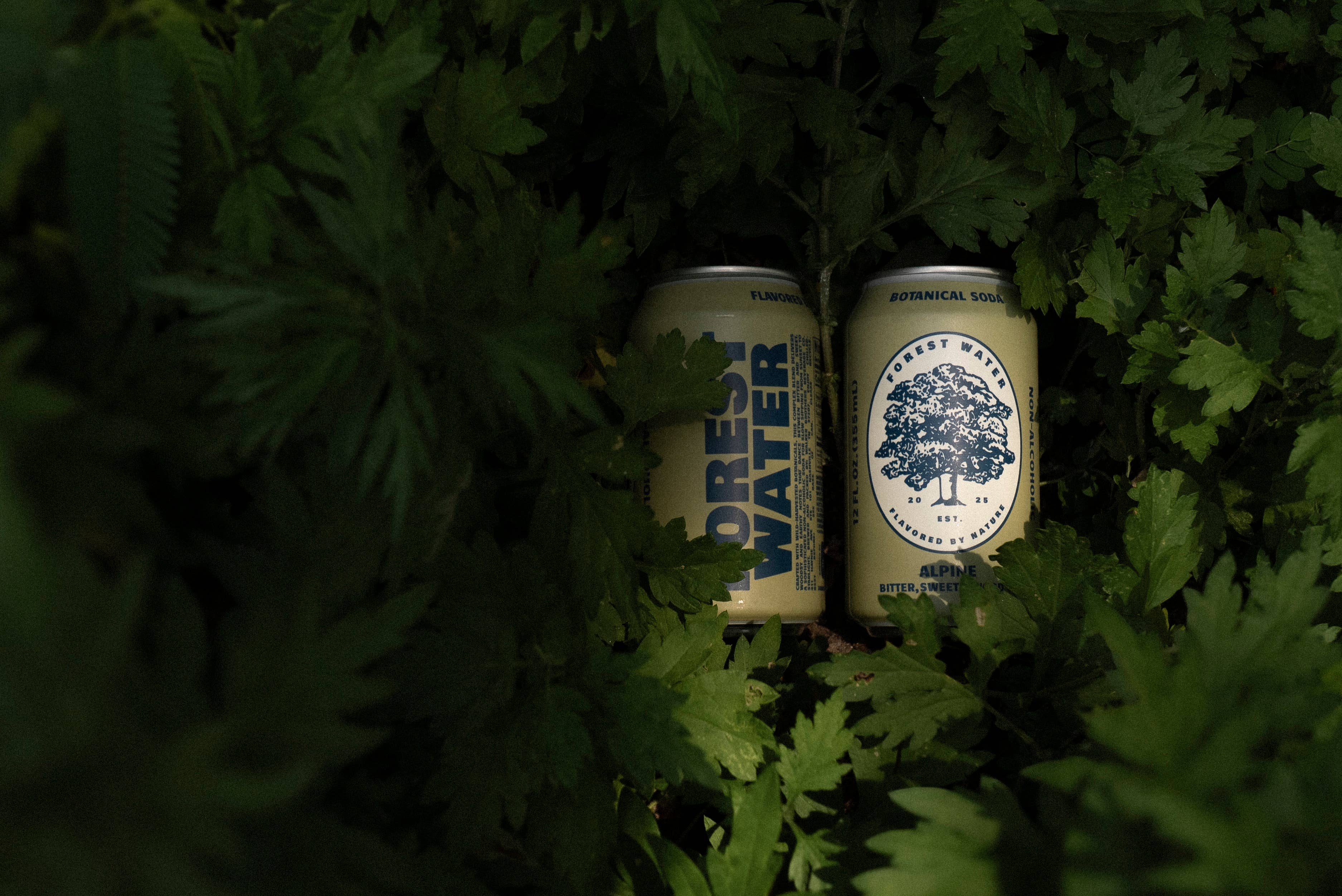 Alpine Forest Water | Non-Alcoholic Botanical Soda