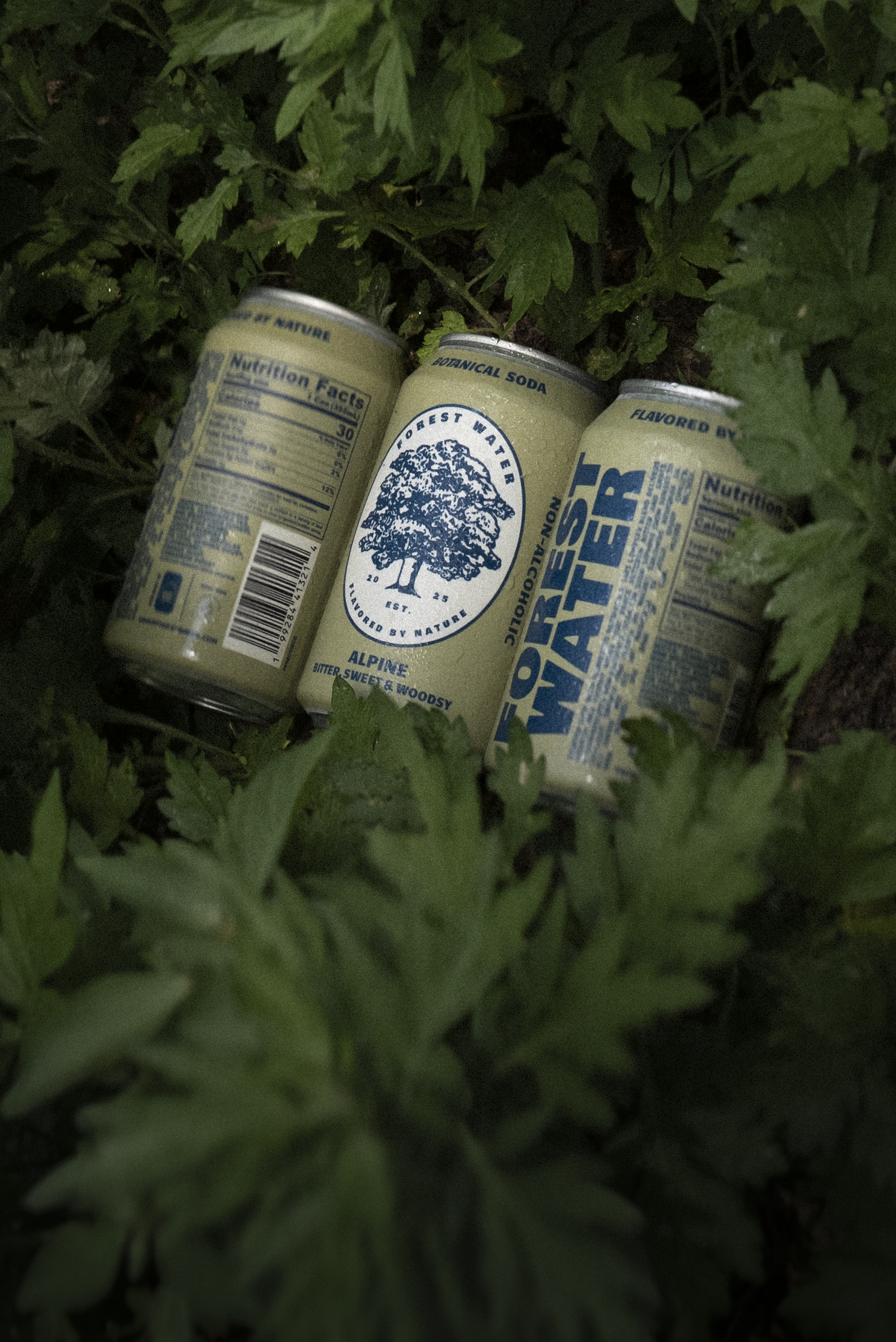Alpine Forest Water | Non-Alcoholic Botanical Soda