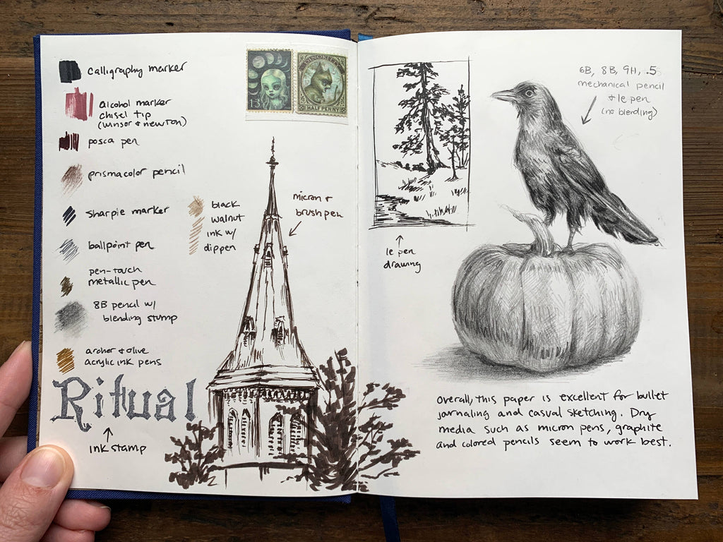 The Astronomer - Notebook